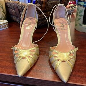 Point toe ankle strap shoe